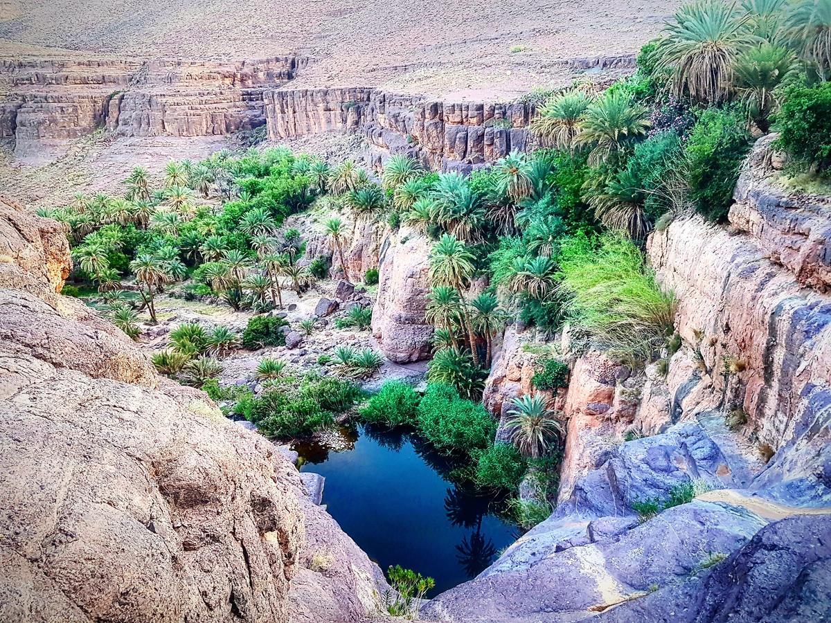 Ouednoujoum Ecolodge & Spa Ouarzazate Ngoại thất bức ảnh